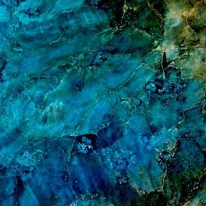 Meet your Posher, Brianne